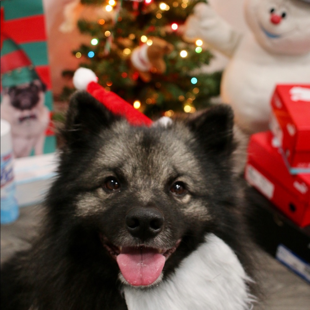 Meet your Posher, Adrian